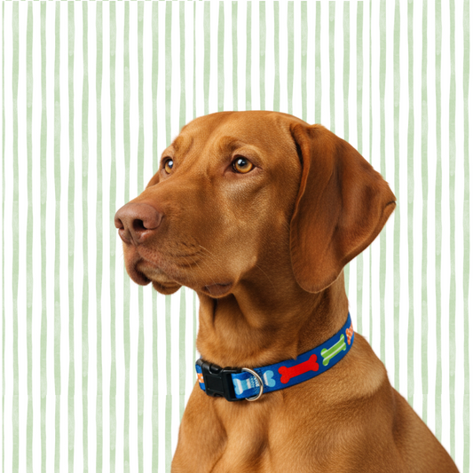 Multi Bones Dog Collar