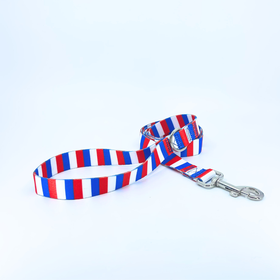 American Stripes Dog Leash