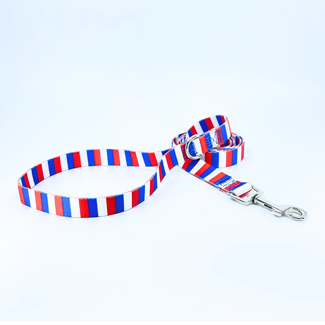 American Stripes Dog Leash