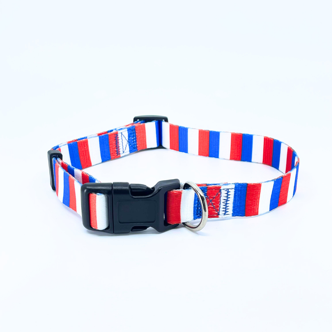 American Stripes Dog Collar