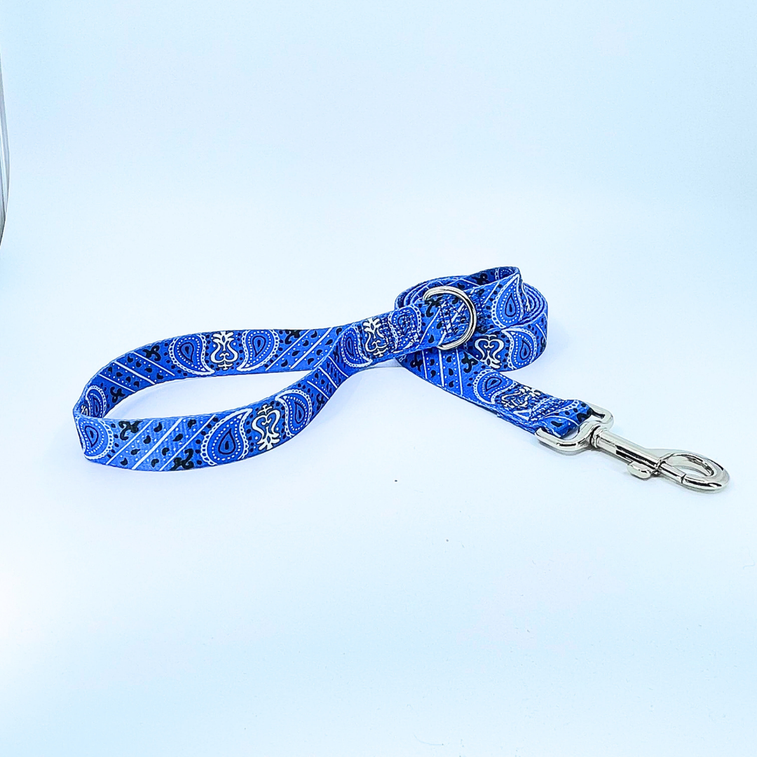 Blue Bandana Dog Leash