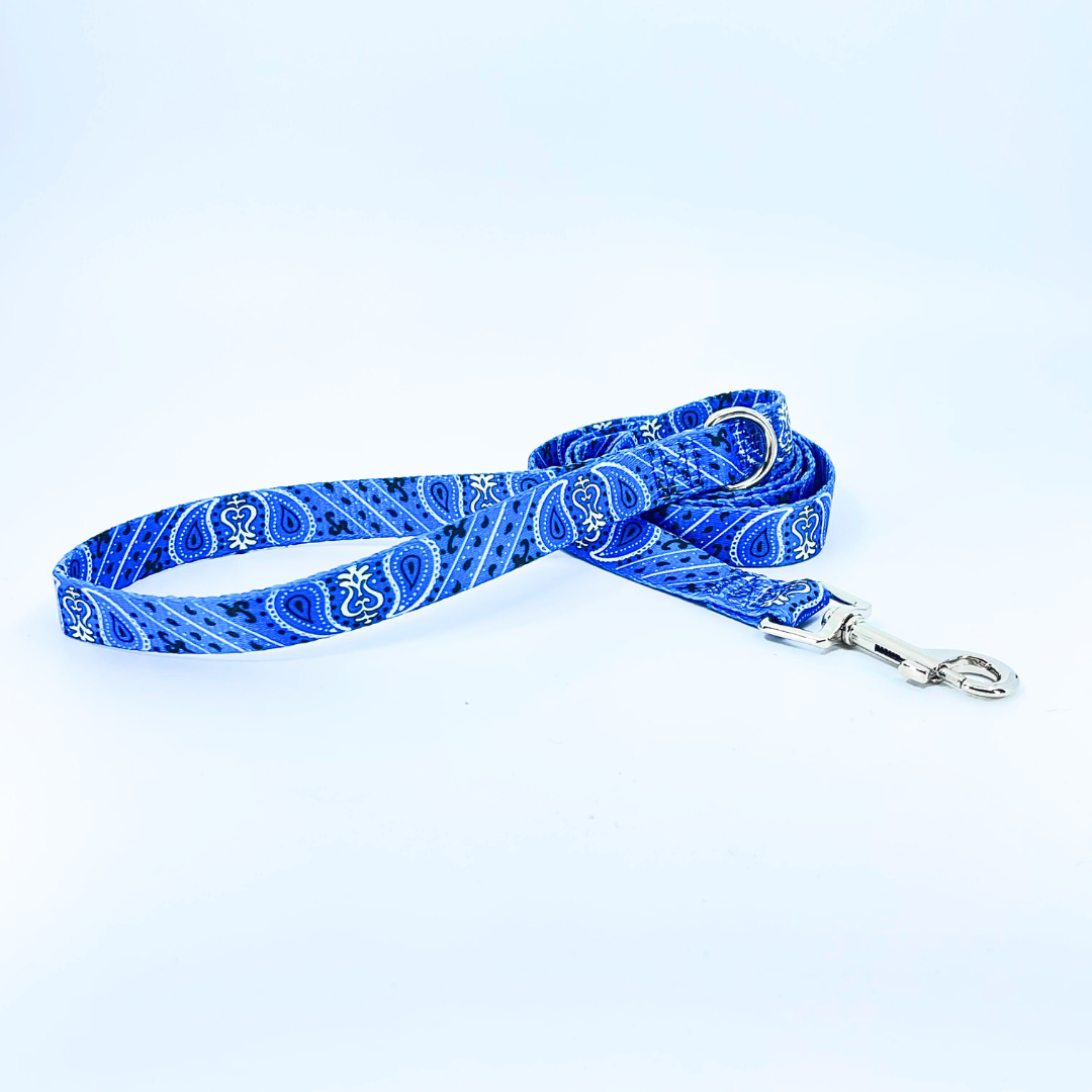 Blue Bandana Dog Leash