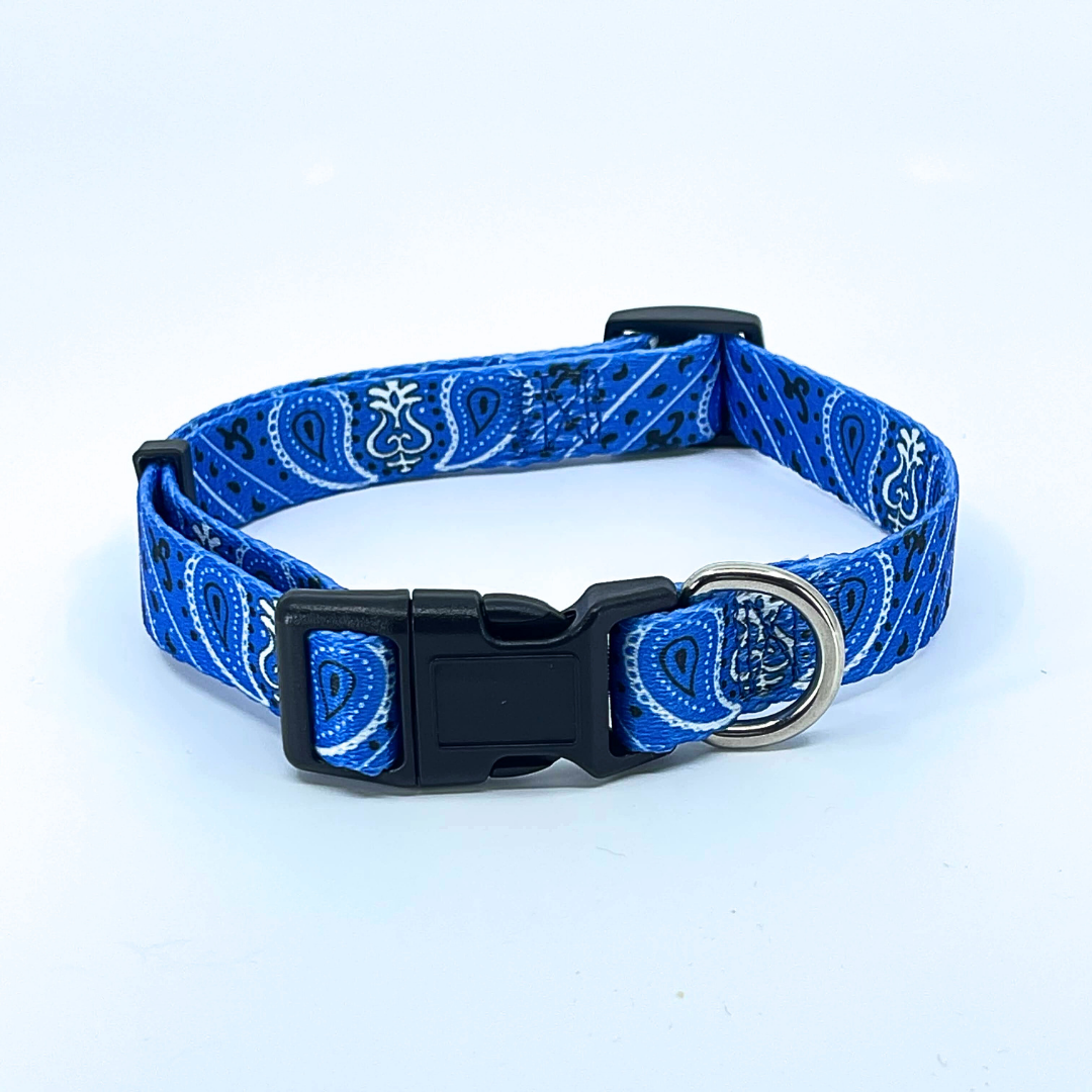 Blue Bandana Dog Collar
