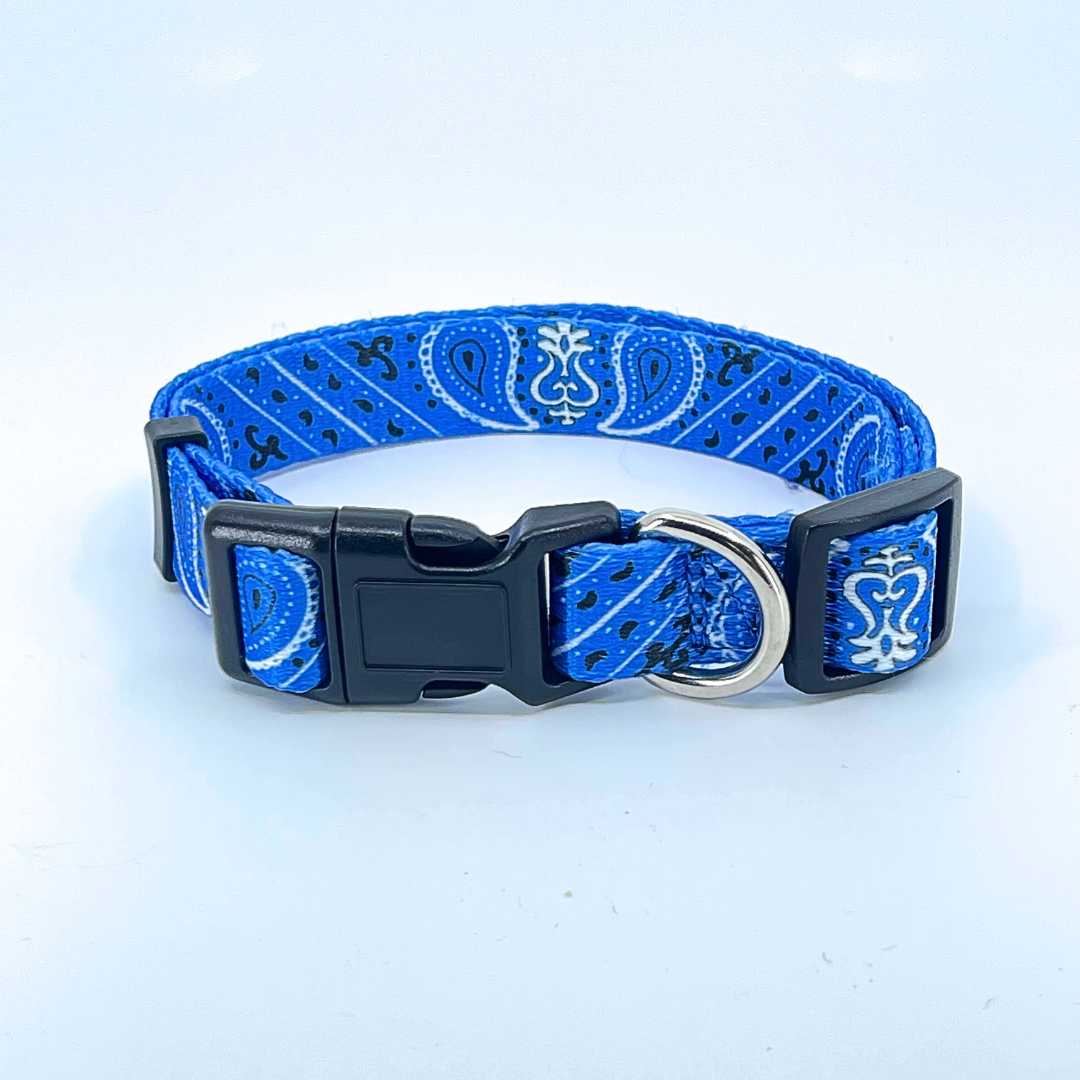 Blue Bandana Dog Collar