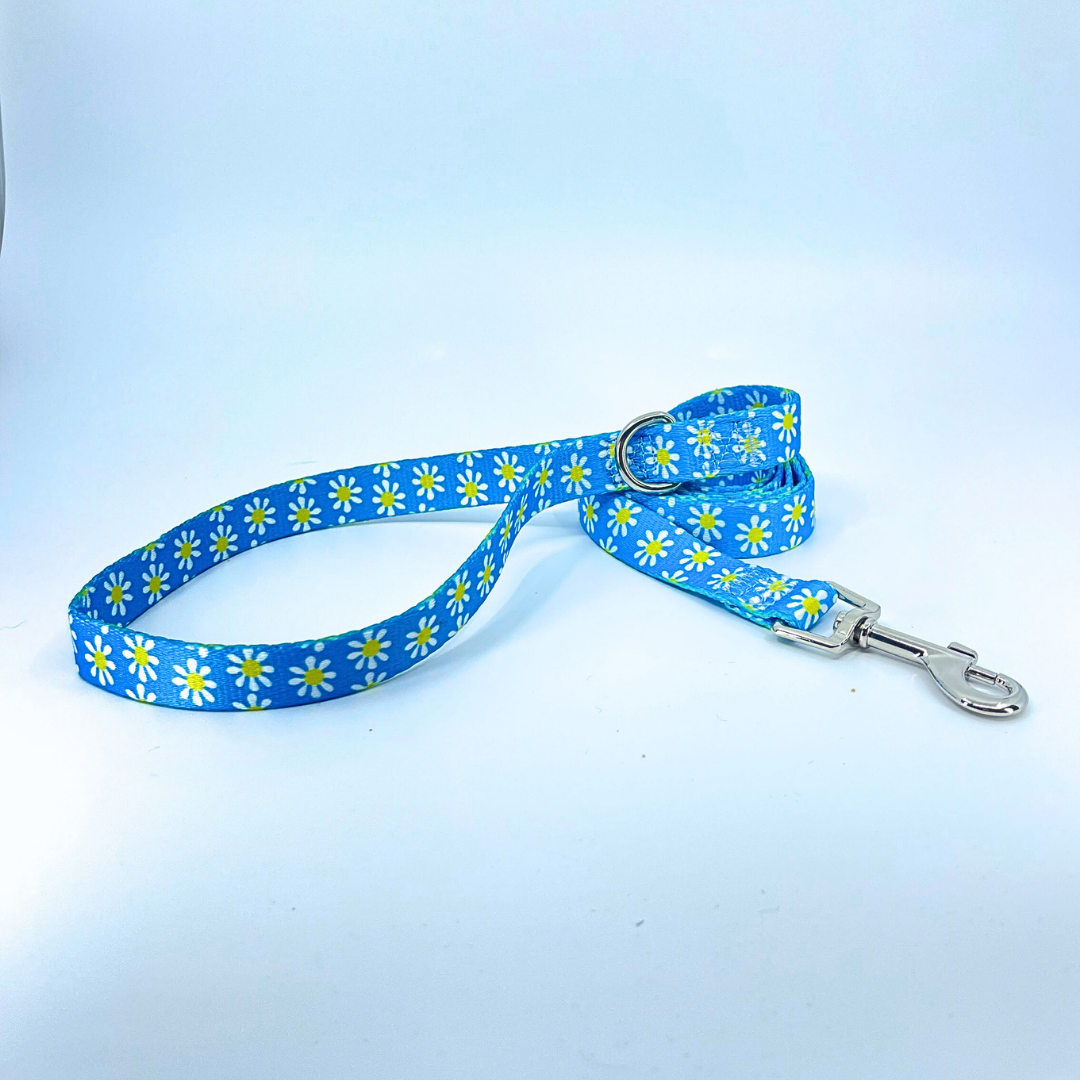 Blue Daisy Dog Leash