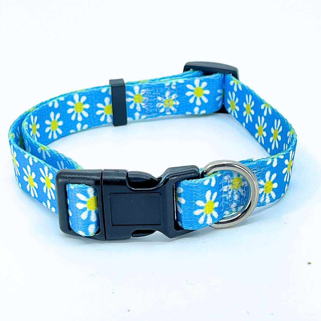 Blue Daisy Dog Collar