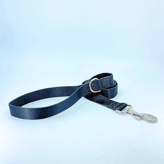 Black Dog Leash