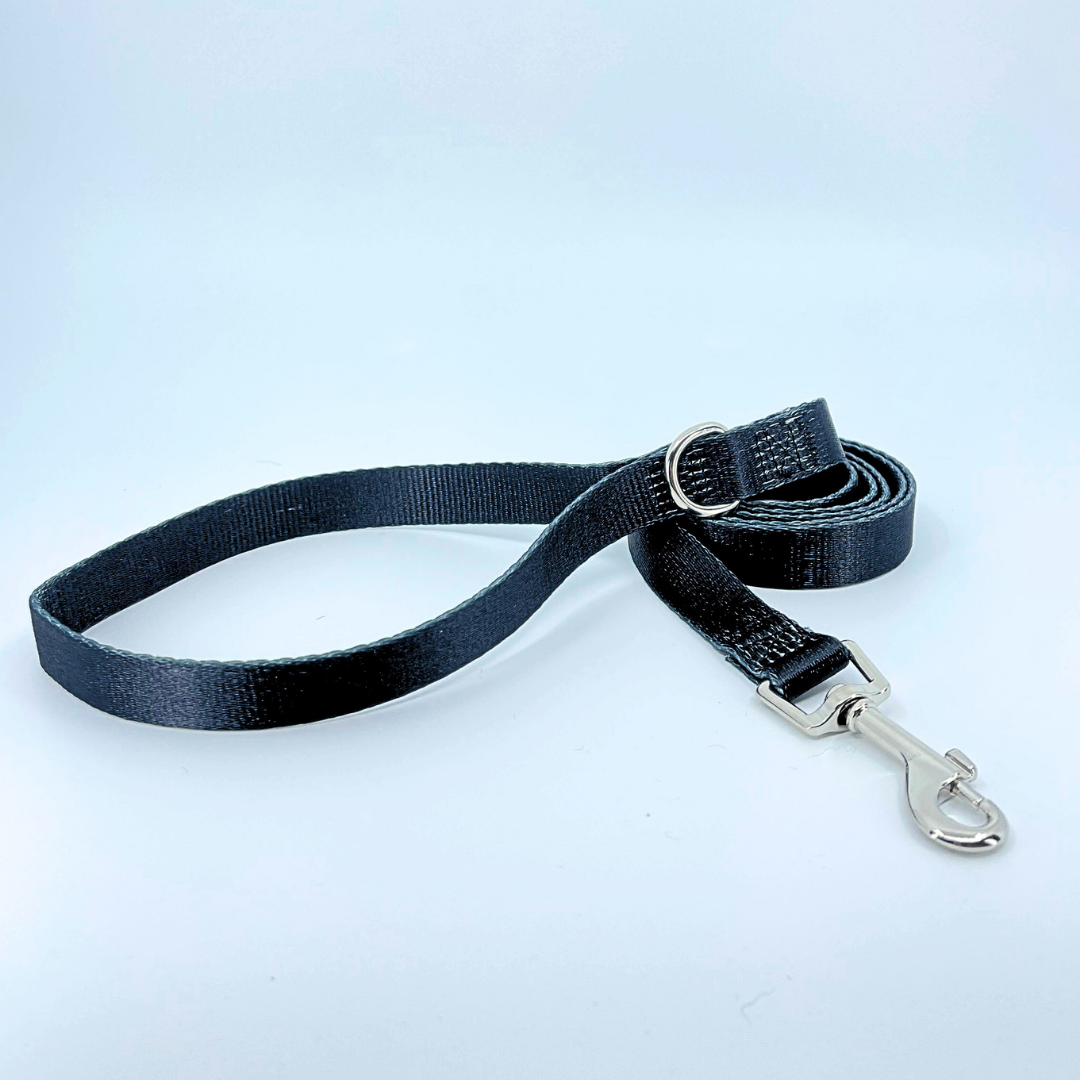Black Dog Leash