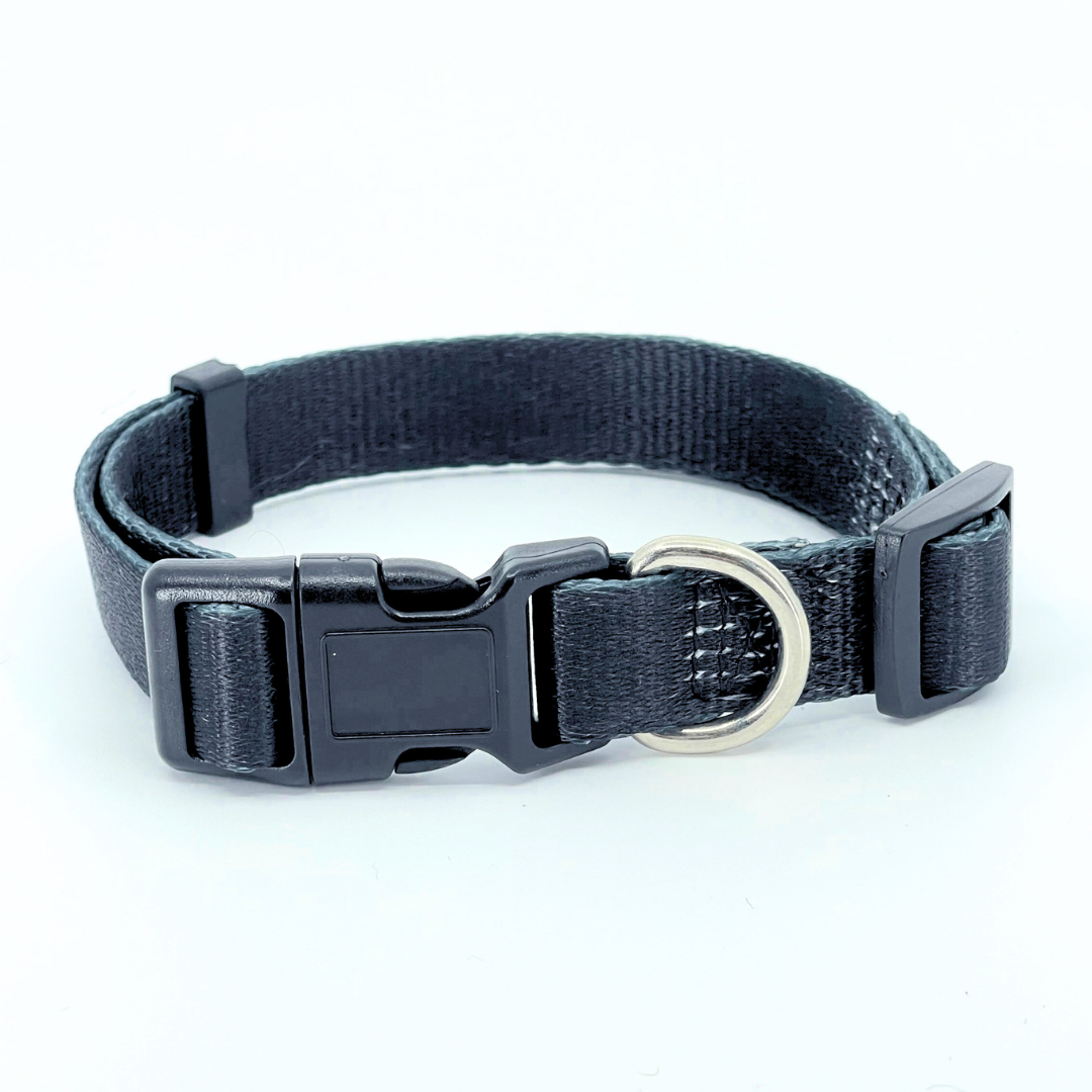 Black Dog Collar