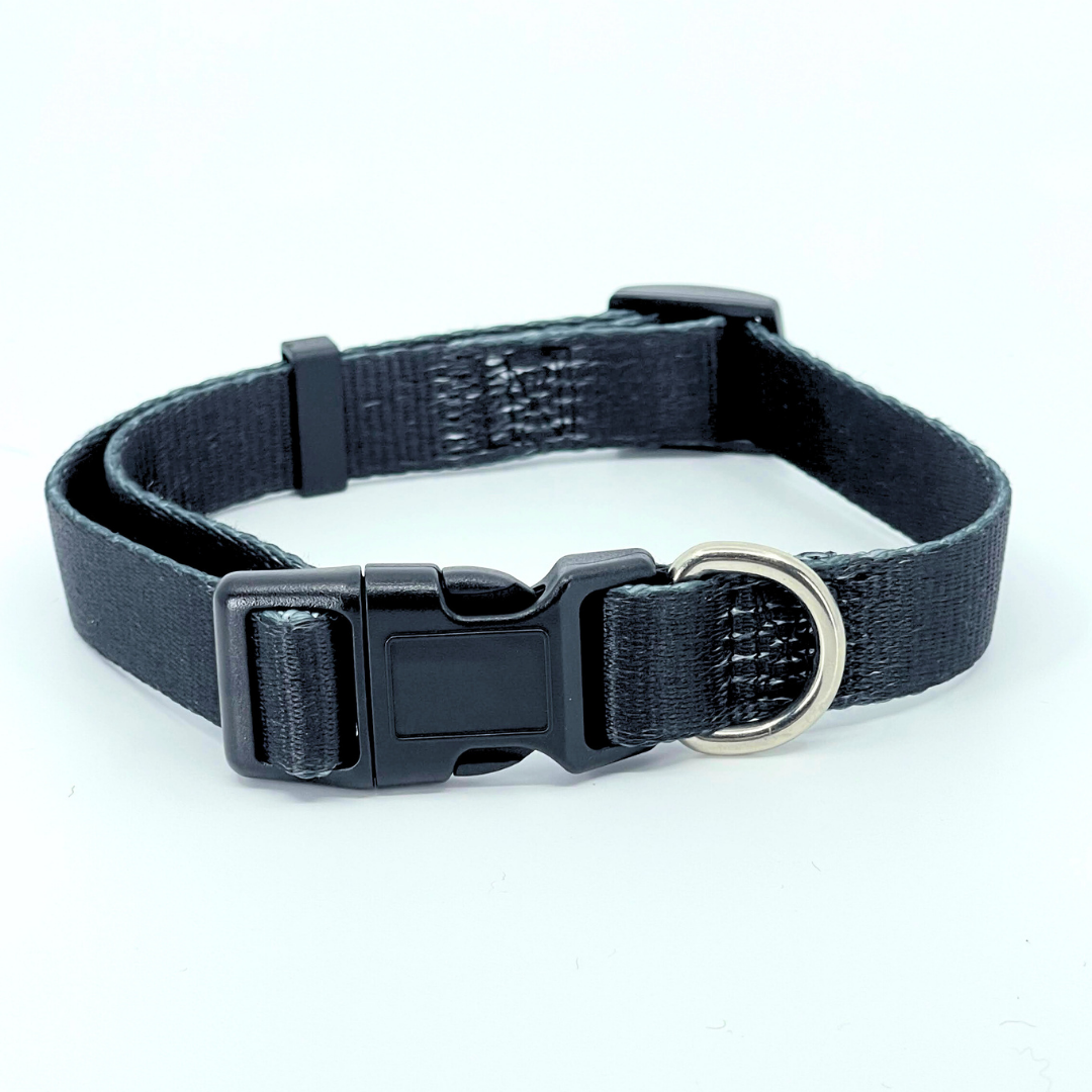 Black Dog Collar
