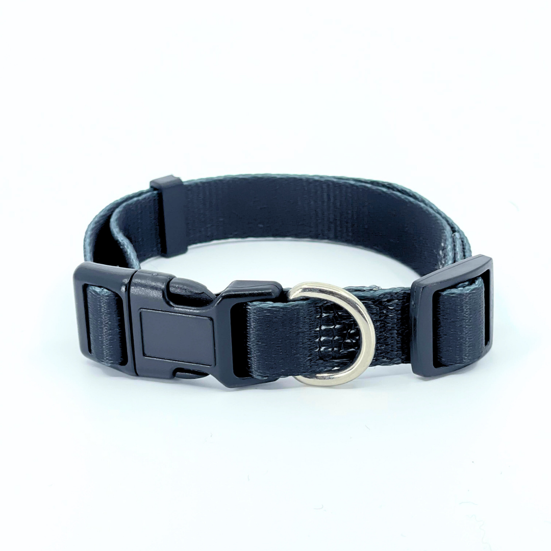 Black Dog Collar