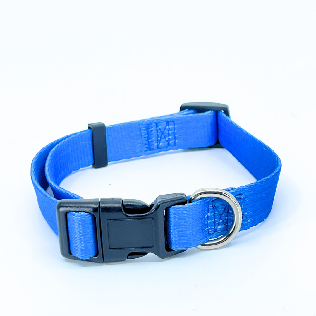Royal Blue Dog Collar