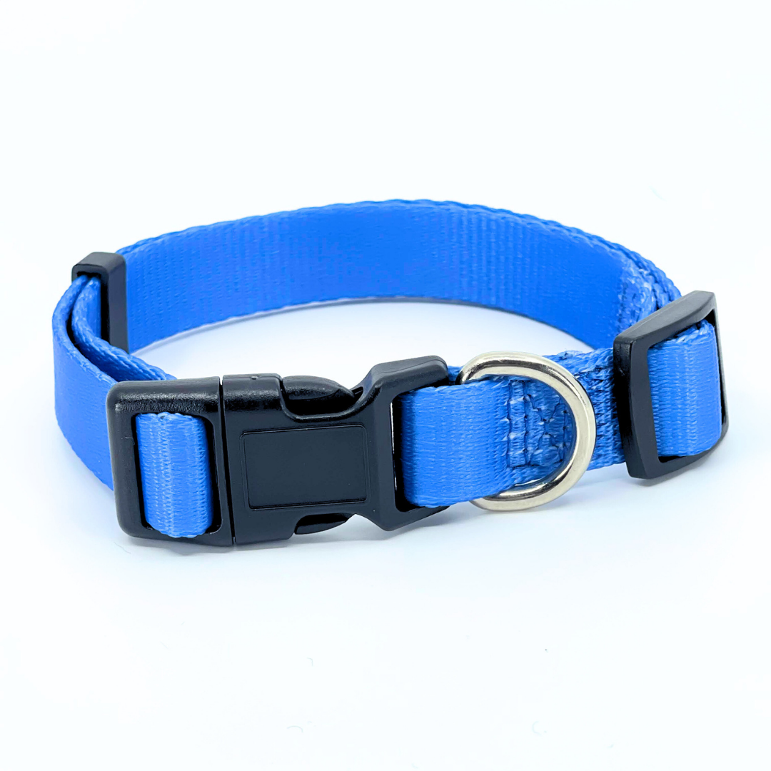 Royal Blue Dog Collar