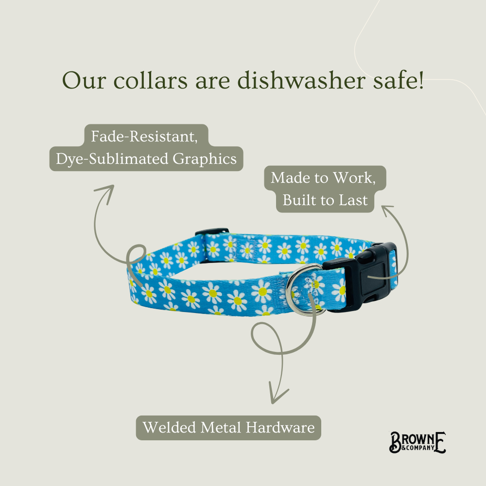 Blue Daisy Dog Collar