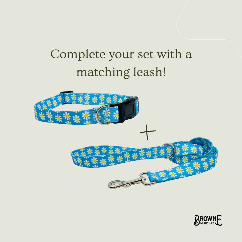 Blue Daisy Dog Collar