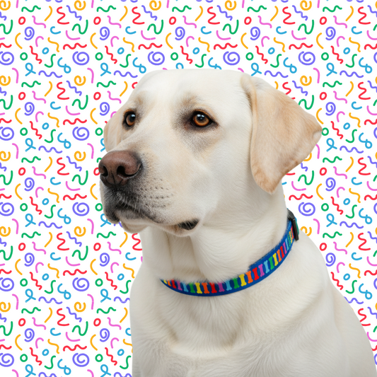 Rainbow Multi Bones Dog Collar