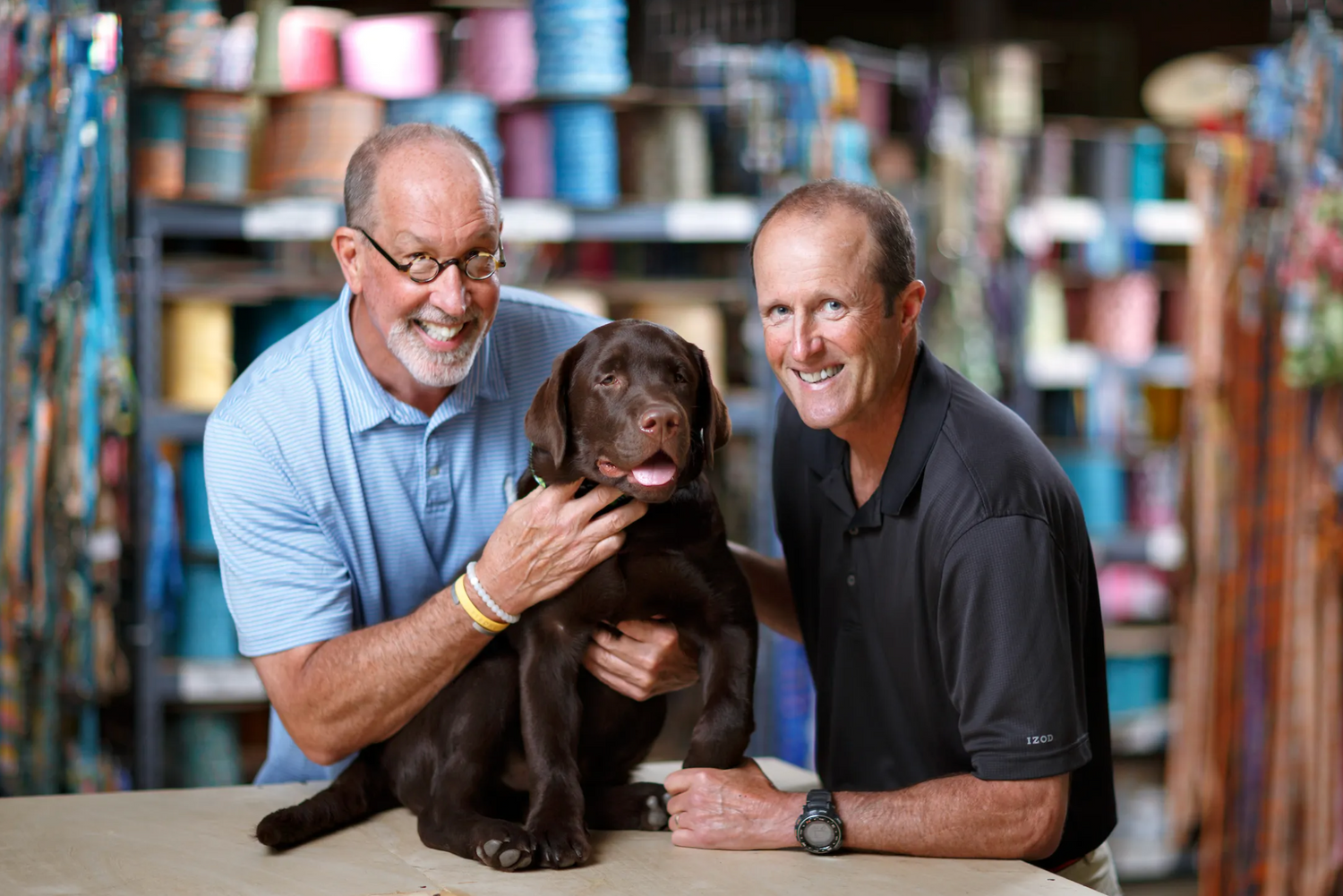 Two men with a chocolate Labrador retriever in a store setting