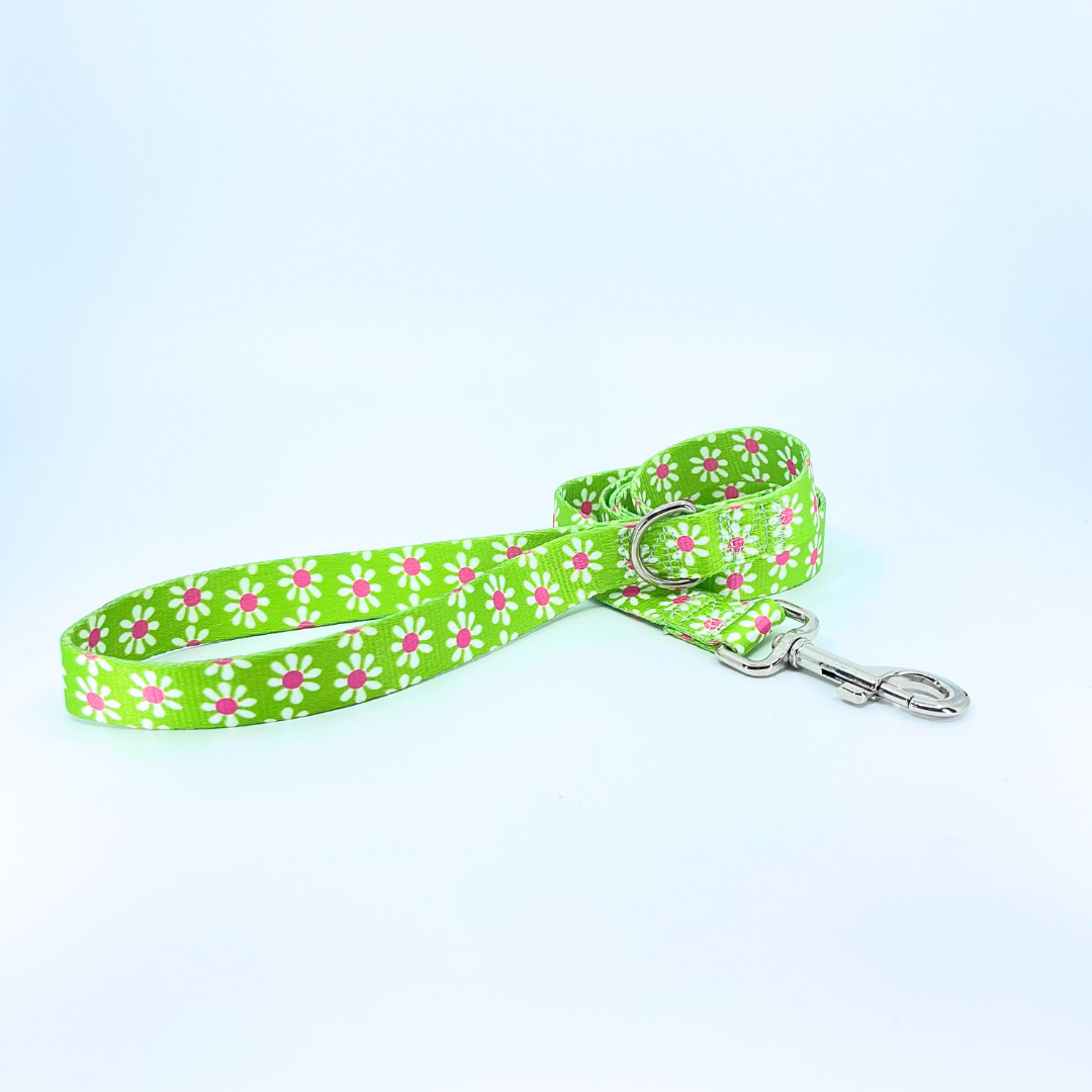 Green Daisy Dog Leash