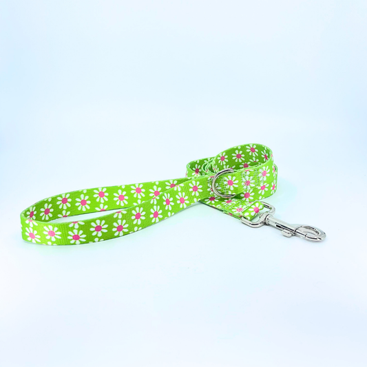 Green Daisy Dog Leash