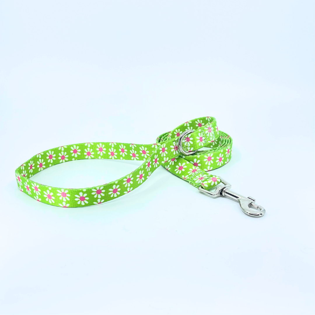 Green Daisy Dog Leash