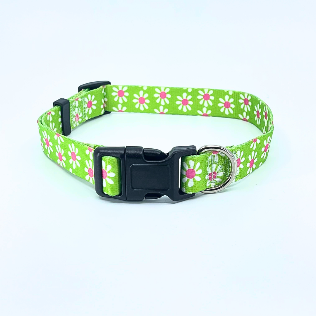 Green Daisy Dog Collar
