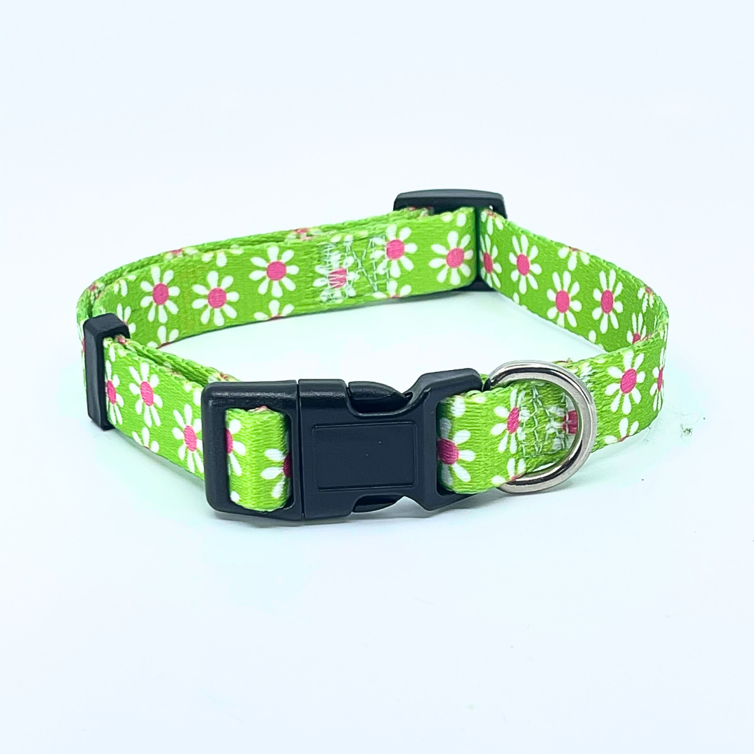 Green Daisy Dog Collar