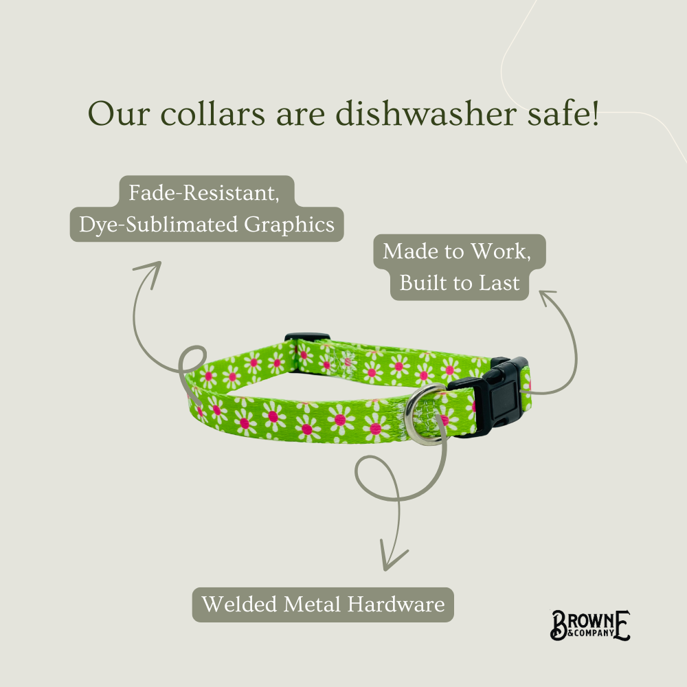 Green Daisy Dog Collar