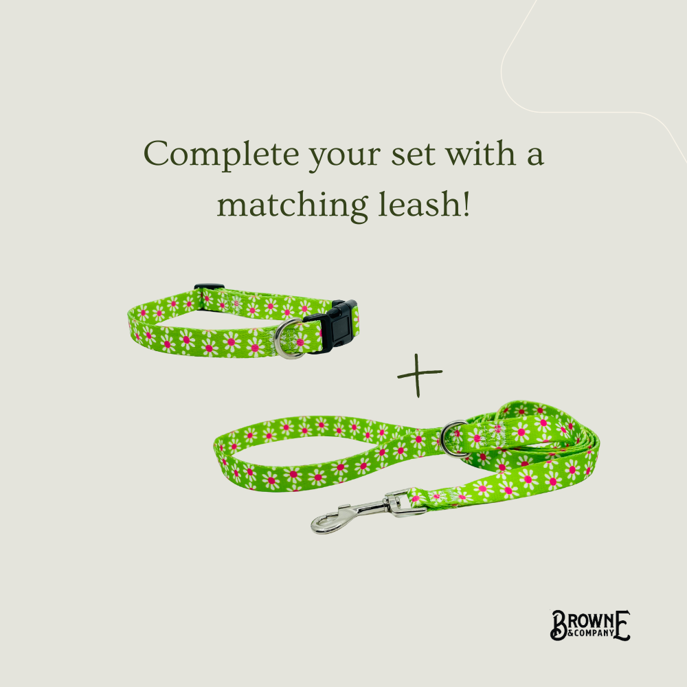 Green Daisy Dog Collar