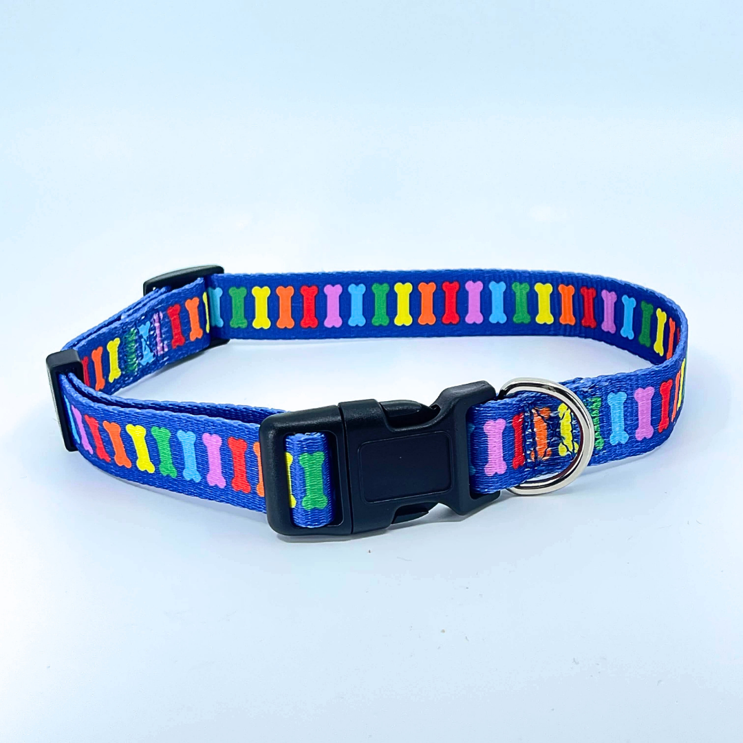 Rainbow Multi Bones Dog Collar