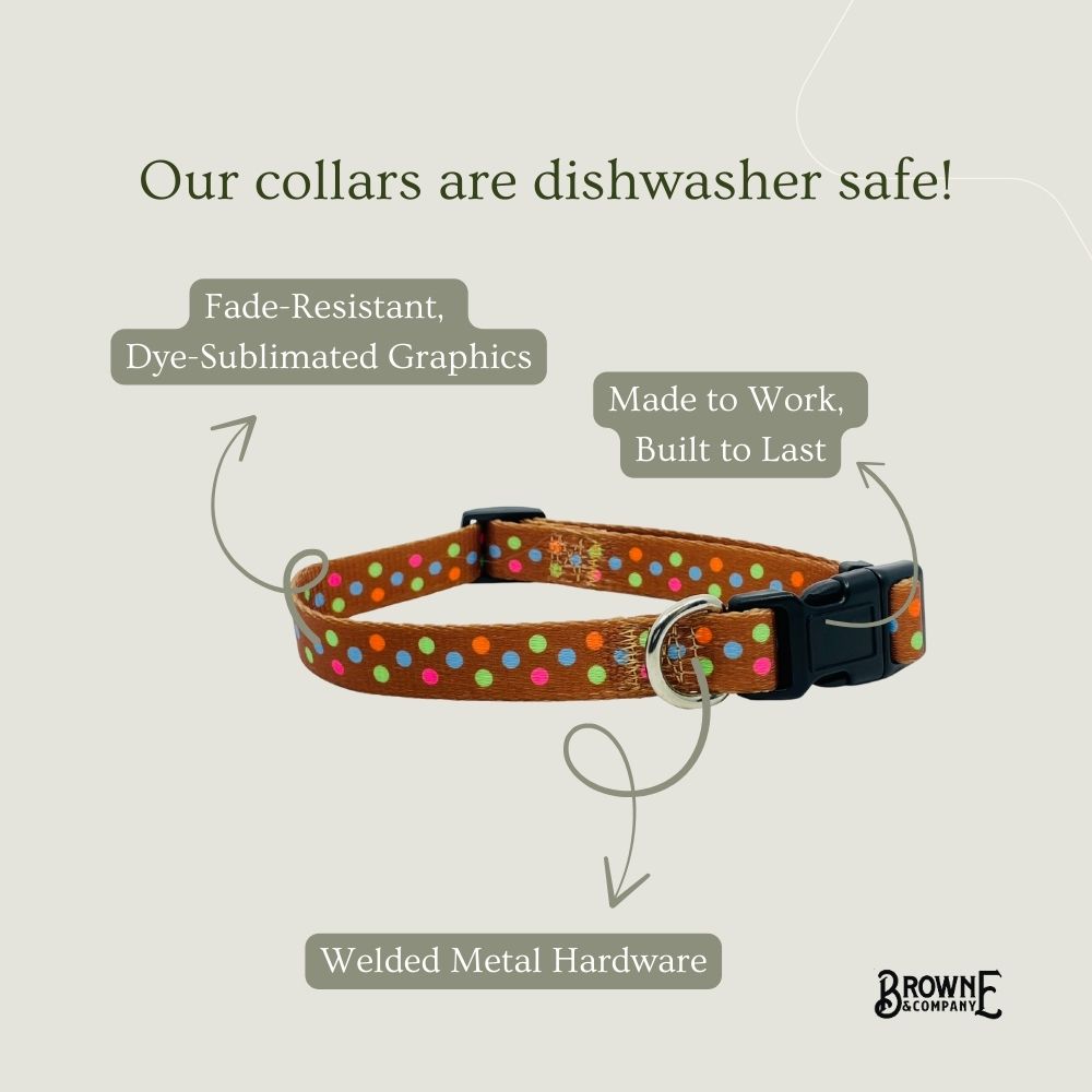 Neapolitan Dog Collar