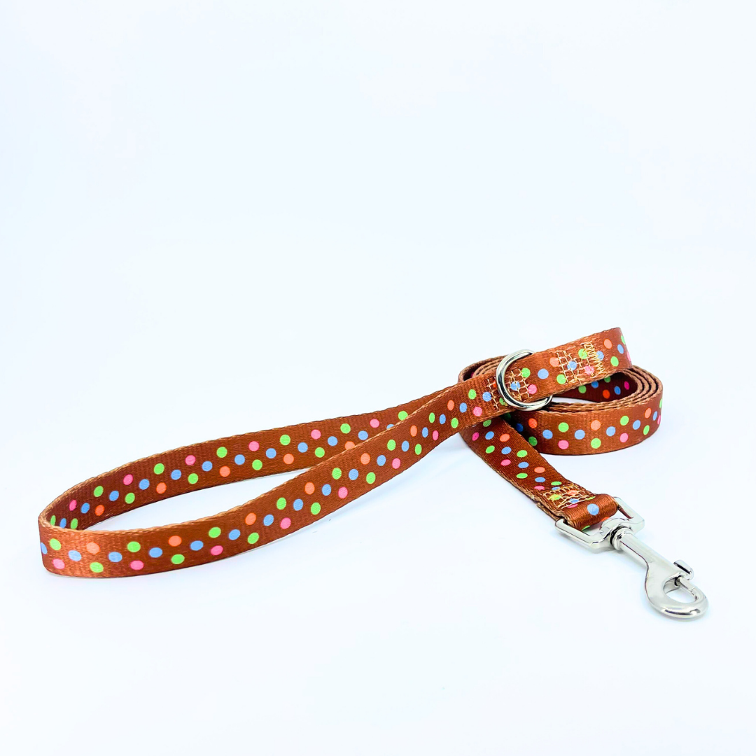 Neapolitan Dog Leash