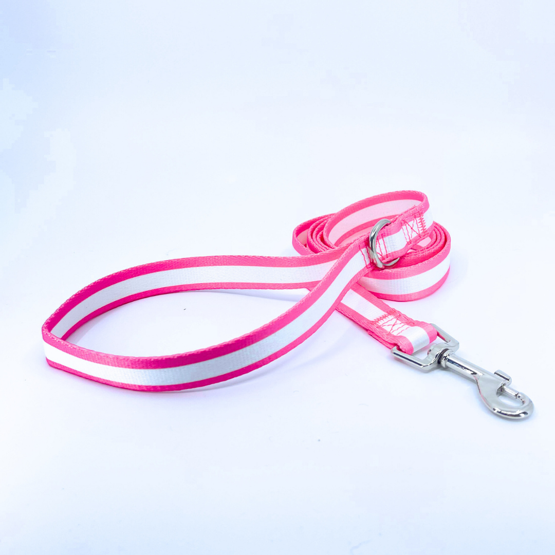 Pink Mighty Stripe 1" Dog Leash