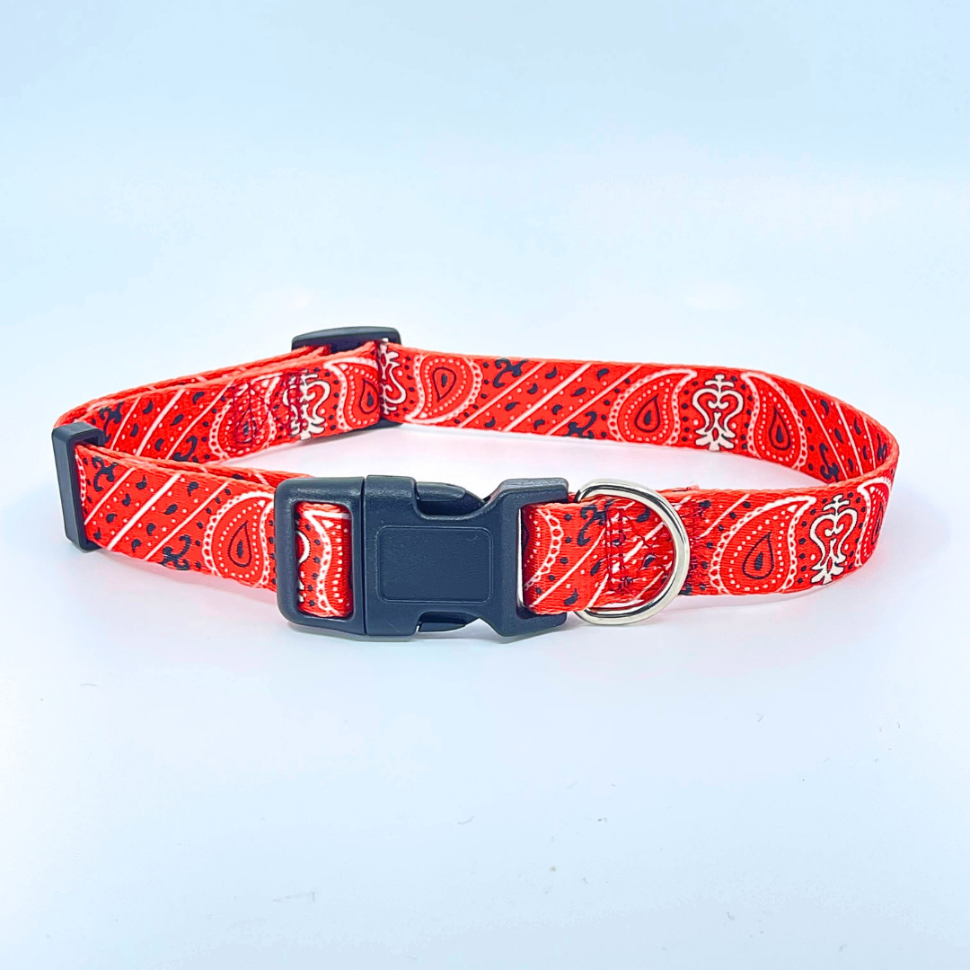 Red Bandana Dog Collar