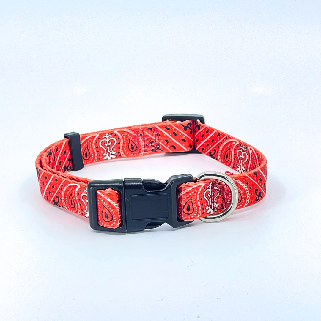 Red Bandana Dog Collar