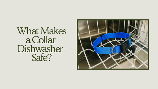 Durability Meets Design: What Makes a Collar Dishwasher-Safe?