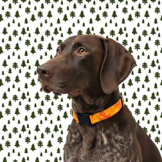 Orange Camo Dog Collar