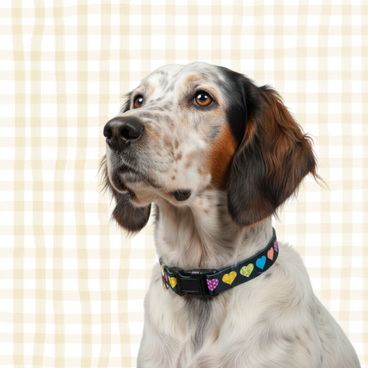 Colorful Hearts Dog Collar