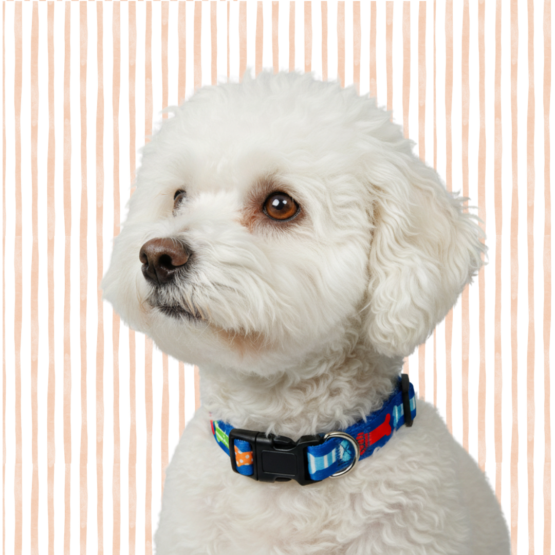 Multi Bones Dog Collar