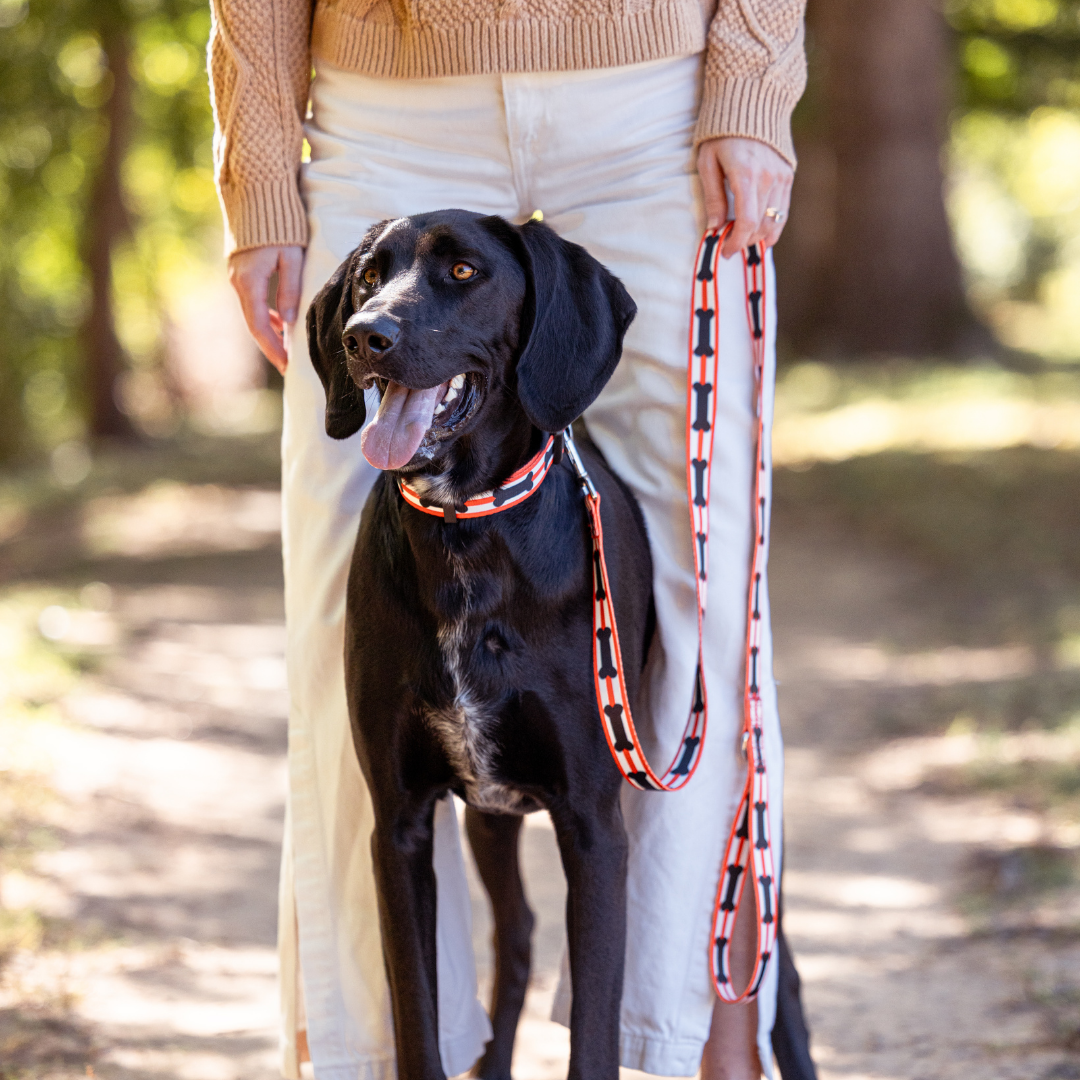 Red and Black Bones Dog Collar