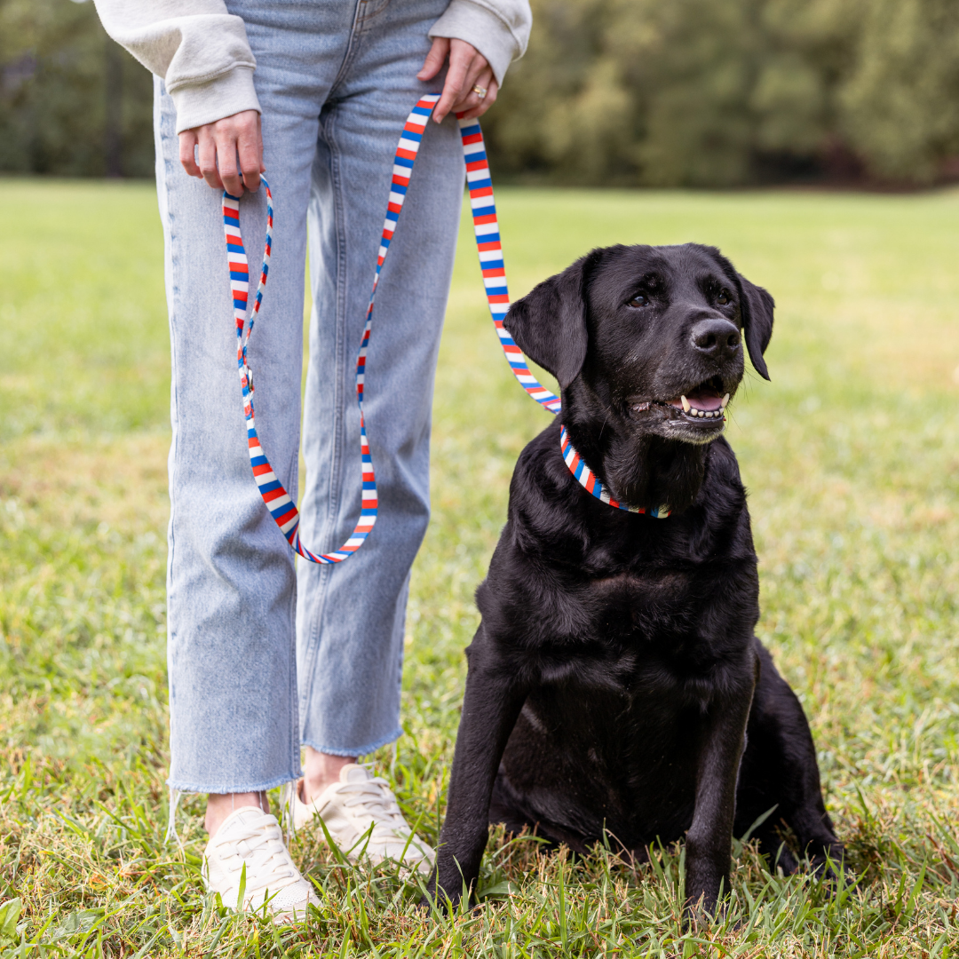 American Stripes Dog Leash