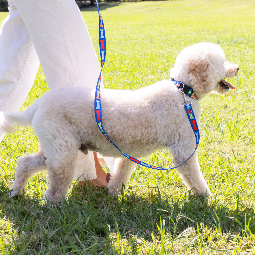 Multi Bones Dog Leash
