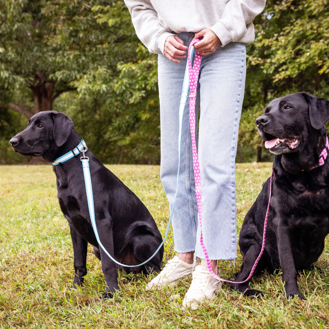 Pink Polka Dog Leash