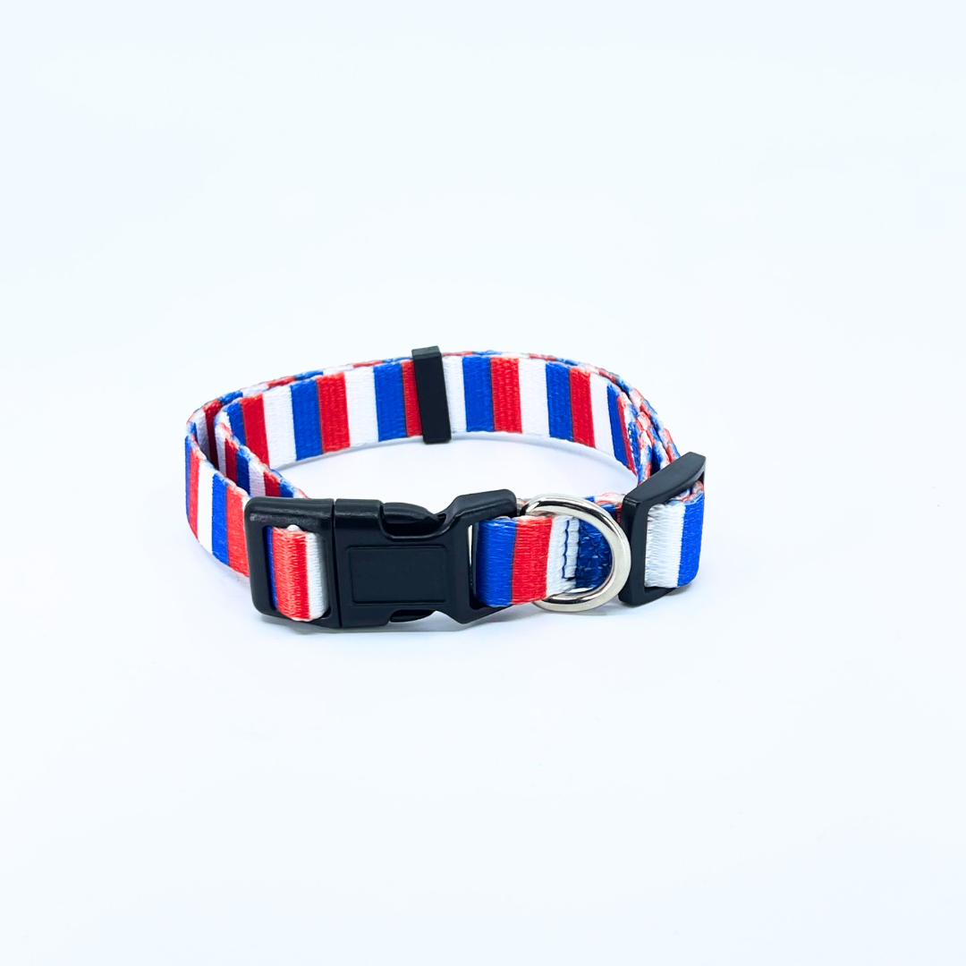 American Stripes Dog Collar