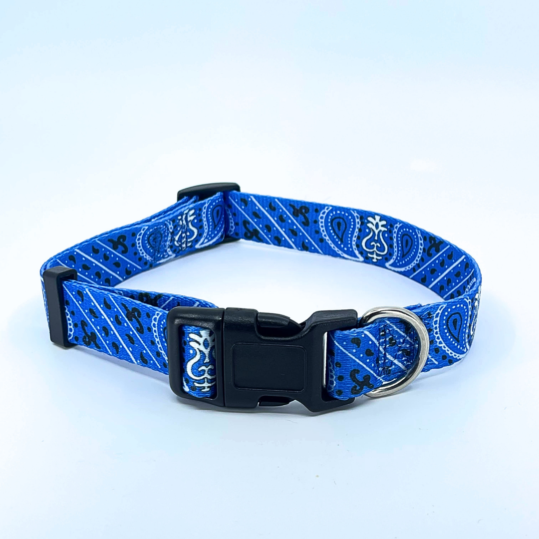 Blue Bandana Dog Collar