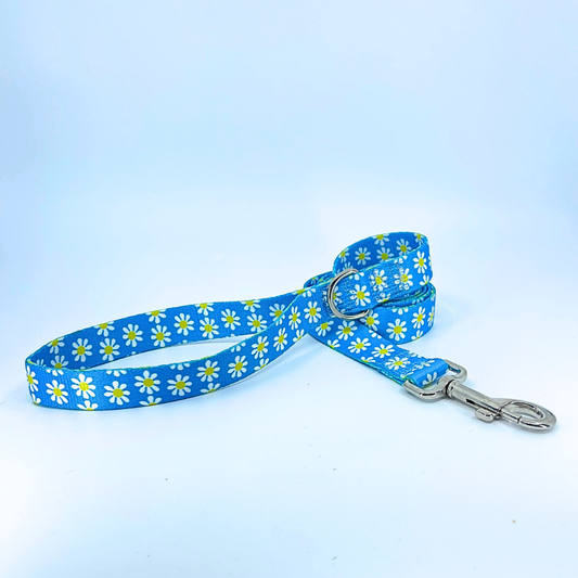 Blue Daisy Dog Leash