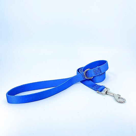 Royal Blue Dog Leash