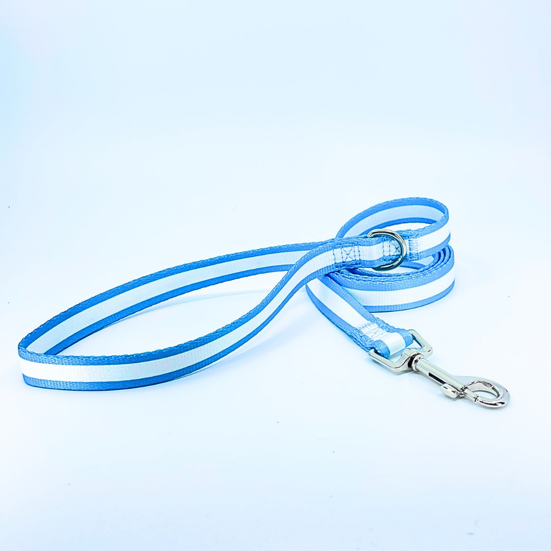 Light Blue Mighty Stripe Dog Leash