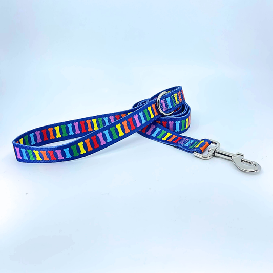 Rainbow Multi Bones 1" Dog Leash