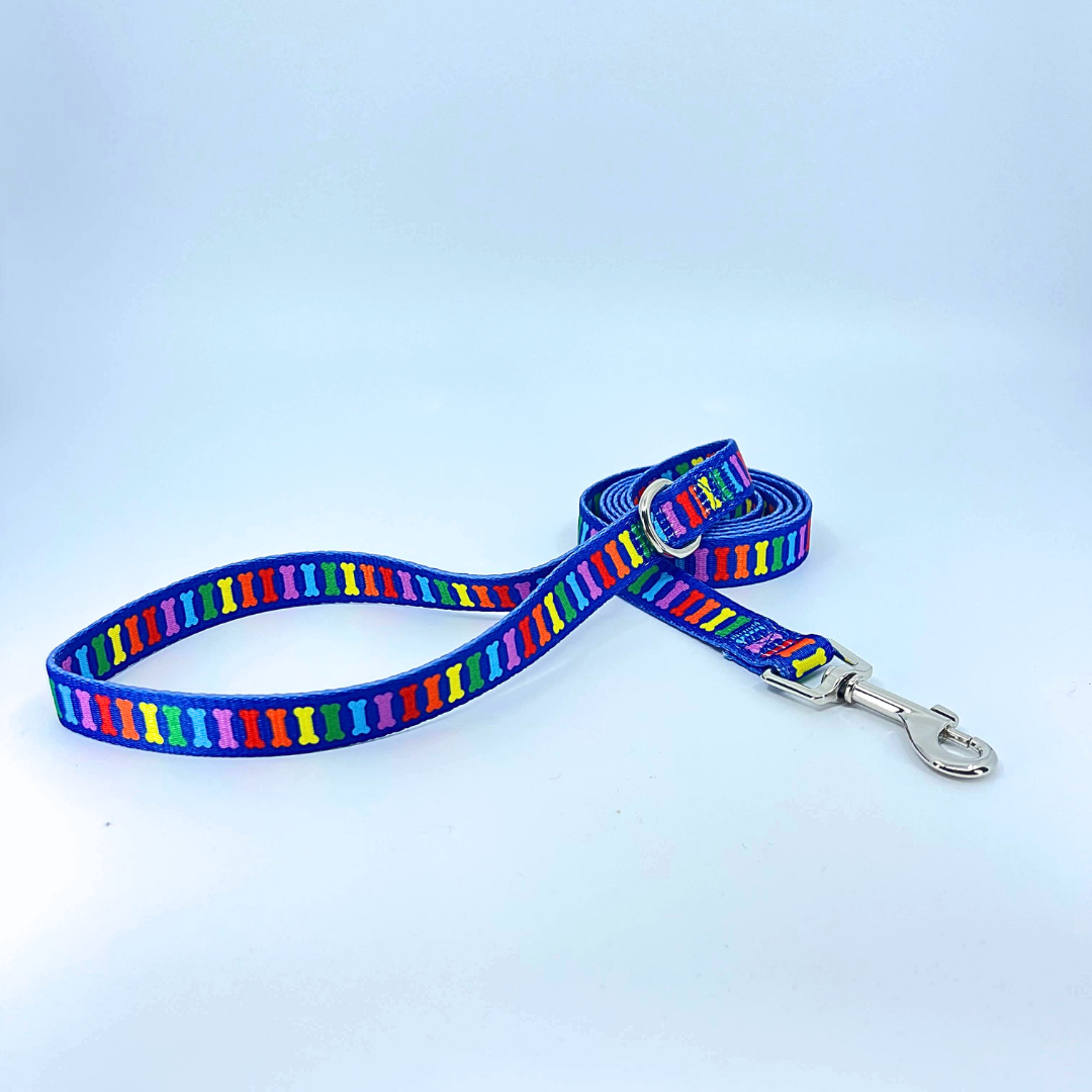 Rainbow Multi Bones 1" Dog Leash