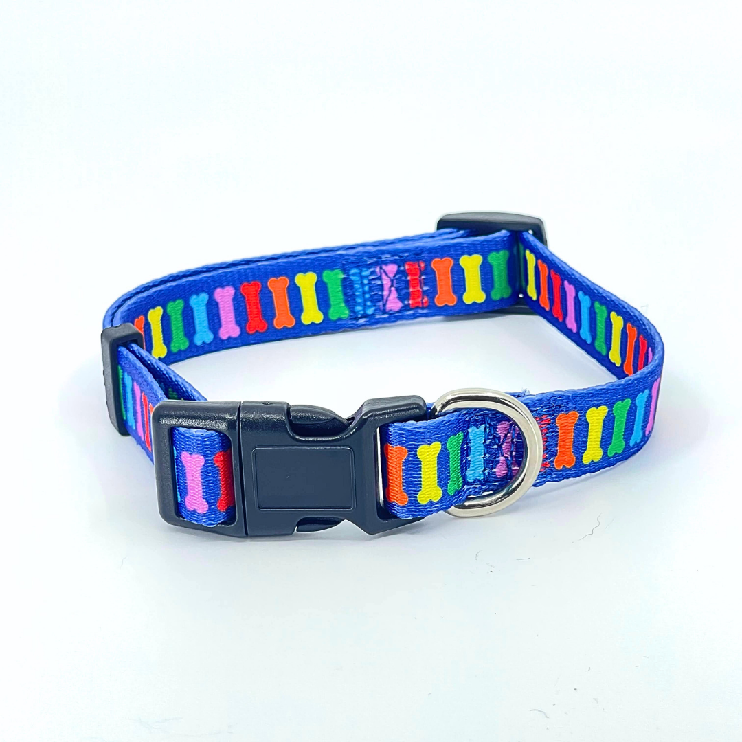 Rainbow Multi Bones Dog Collar